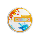 Iceberg Nicotine Pouches (20mg) — Box of 10 cans